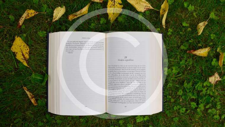 Home is where the Heart is