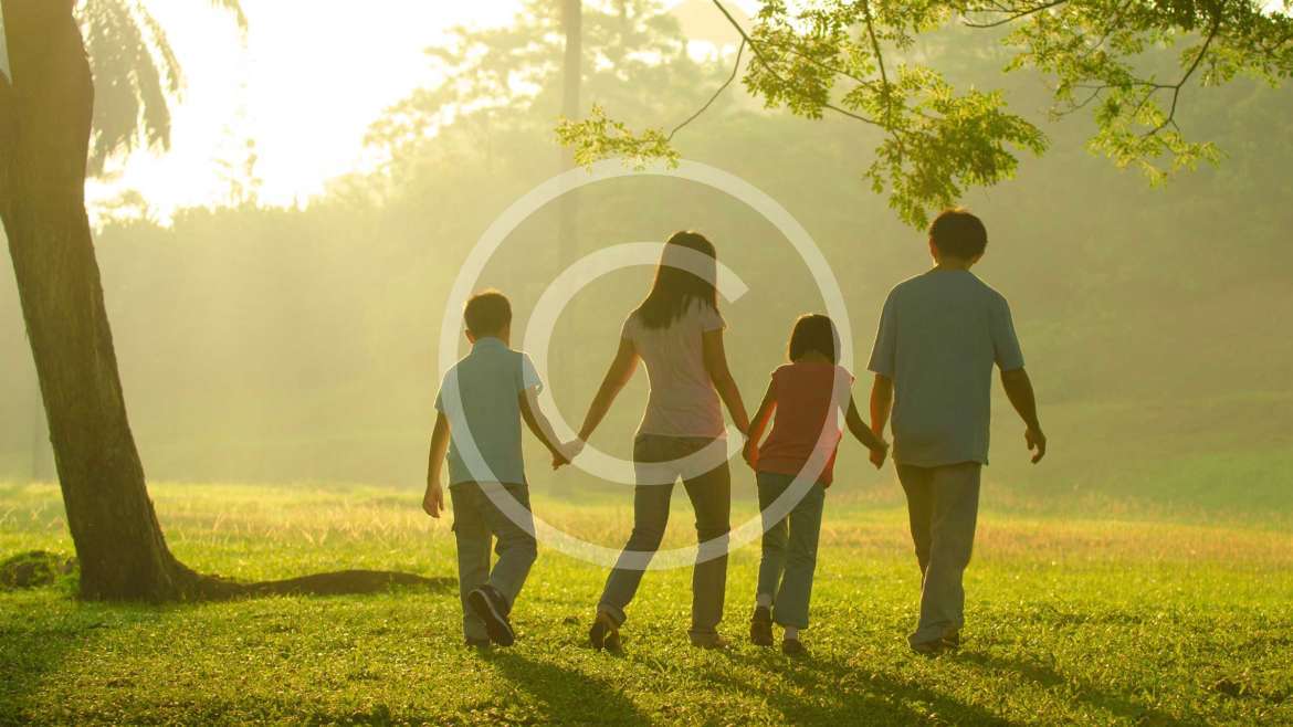 The King. Learning from Giants