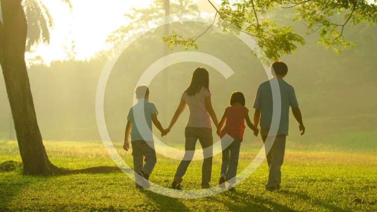 The King. Learning from Giants