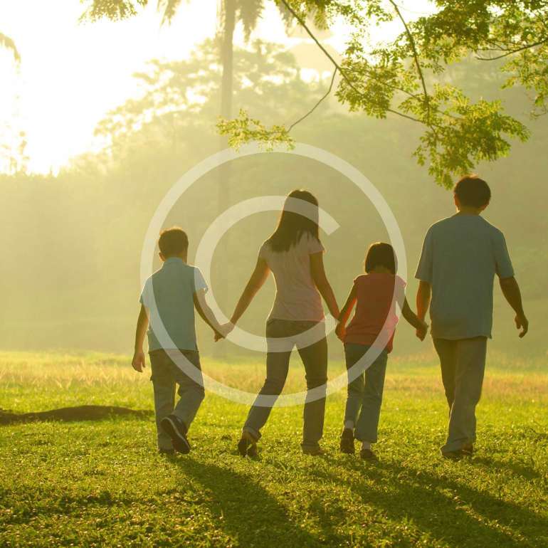 The King. Learning from Giants