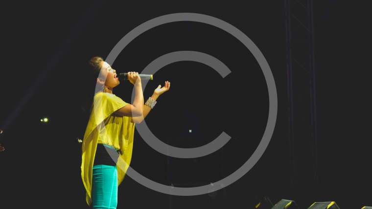 The Song that Noone Sings